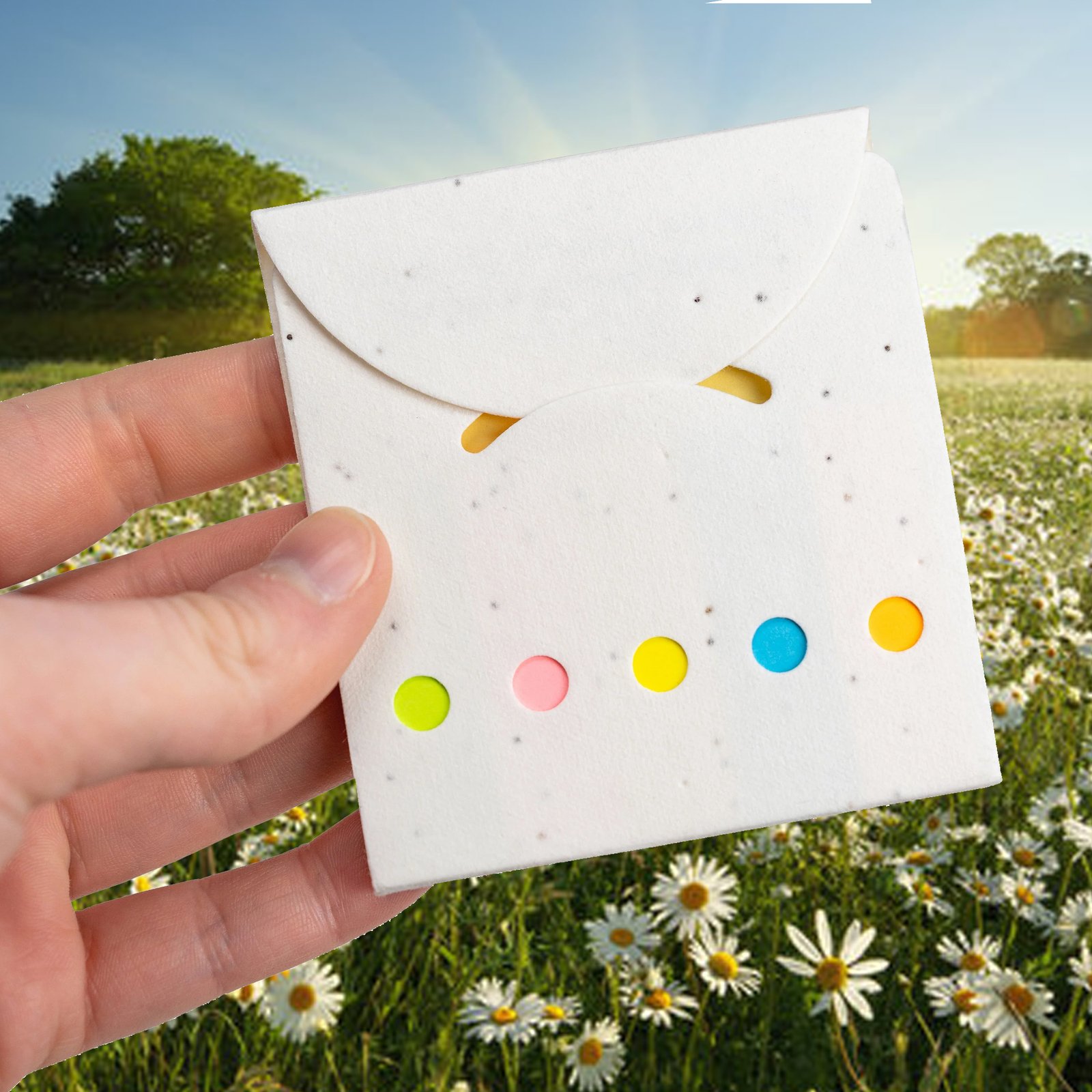 Daisy Seed Sticky Note Pad